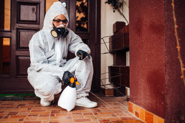 Reliable Bed Bug Control contractor in Thornton, IL by Nex Pest Control
